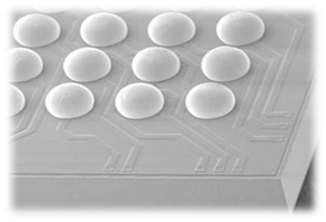 We Offer One Stop Solution